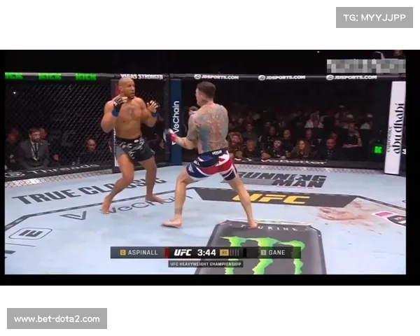 盖恩插眼导致比赛终止，UFC 321头条主赛无结果
